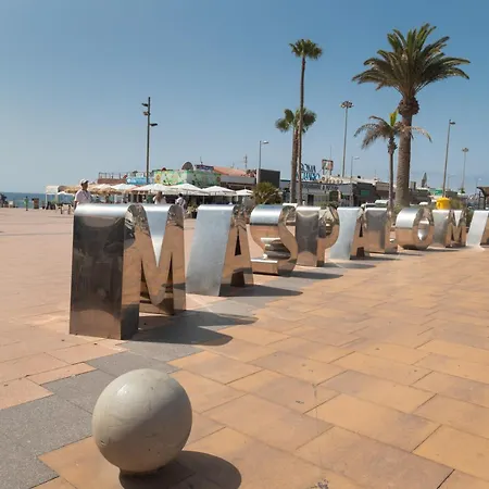 Lirio Blanco De Dunas Canarias بلايا ديل إنغلز